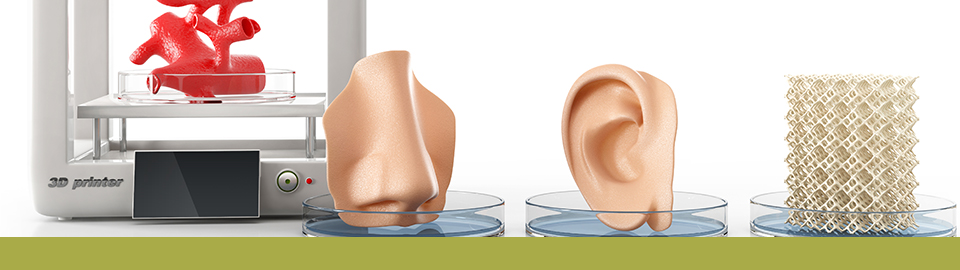 Bioengineering Institute of Technology