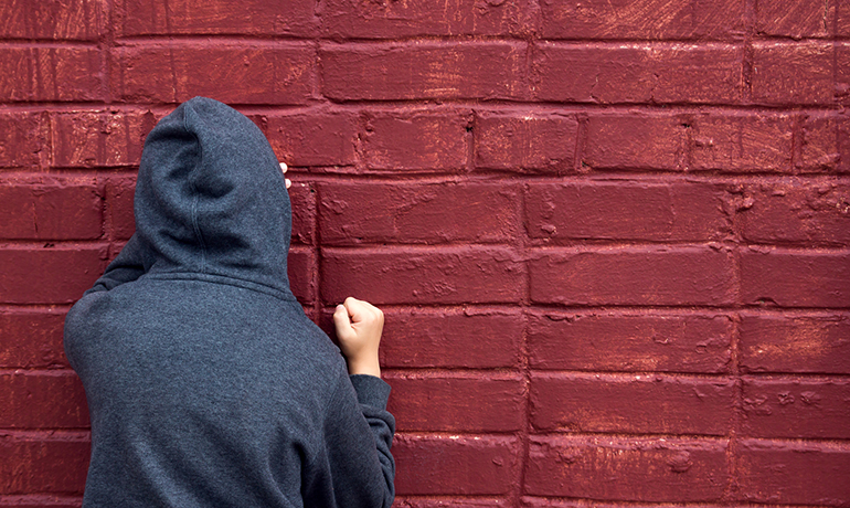 Bullying at school: an overall view through healthcare, social intervention and the family