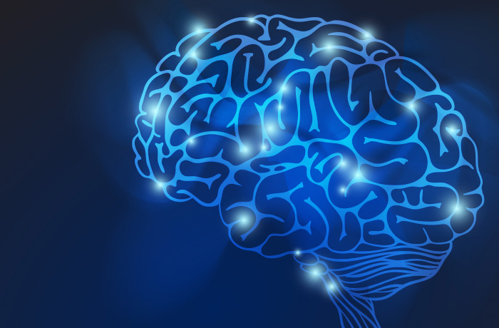 II Conference on Forensic Psychopathology