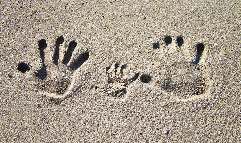 Conference: The Best Interests of the Child and Fostering: Present and Future, (XXV anniversary of the Convention on the Rights of the Child promulgated in 1989 by the UN)