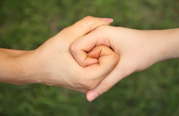  Actividad asistencial