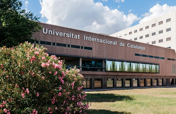 Actividad investigadora