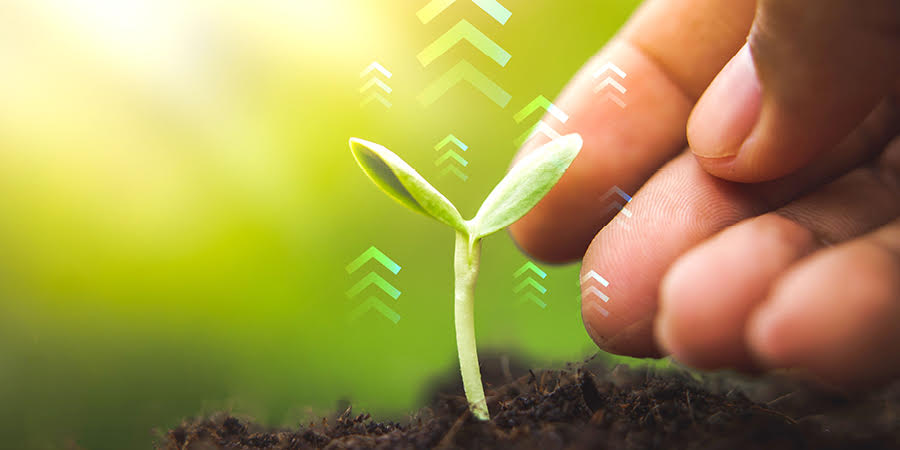 Convocatòria UICInnovació2024