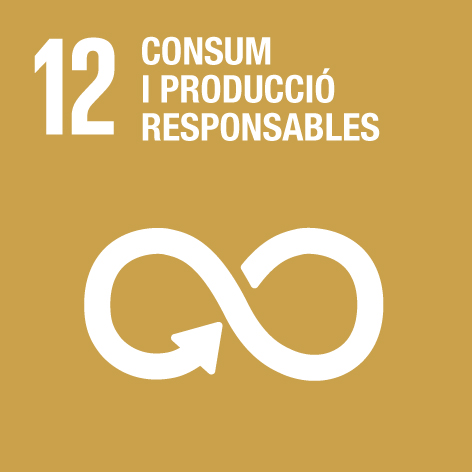 12 ODS - Consum i producció responsables