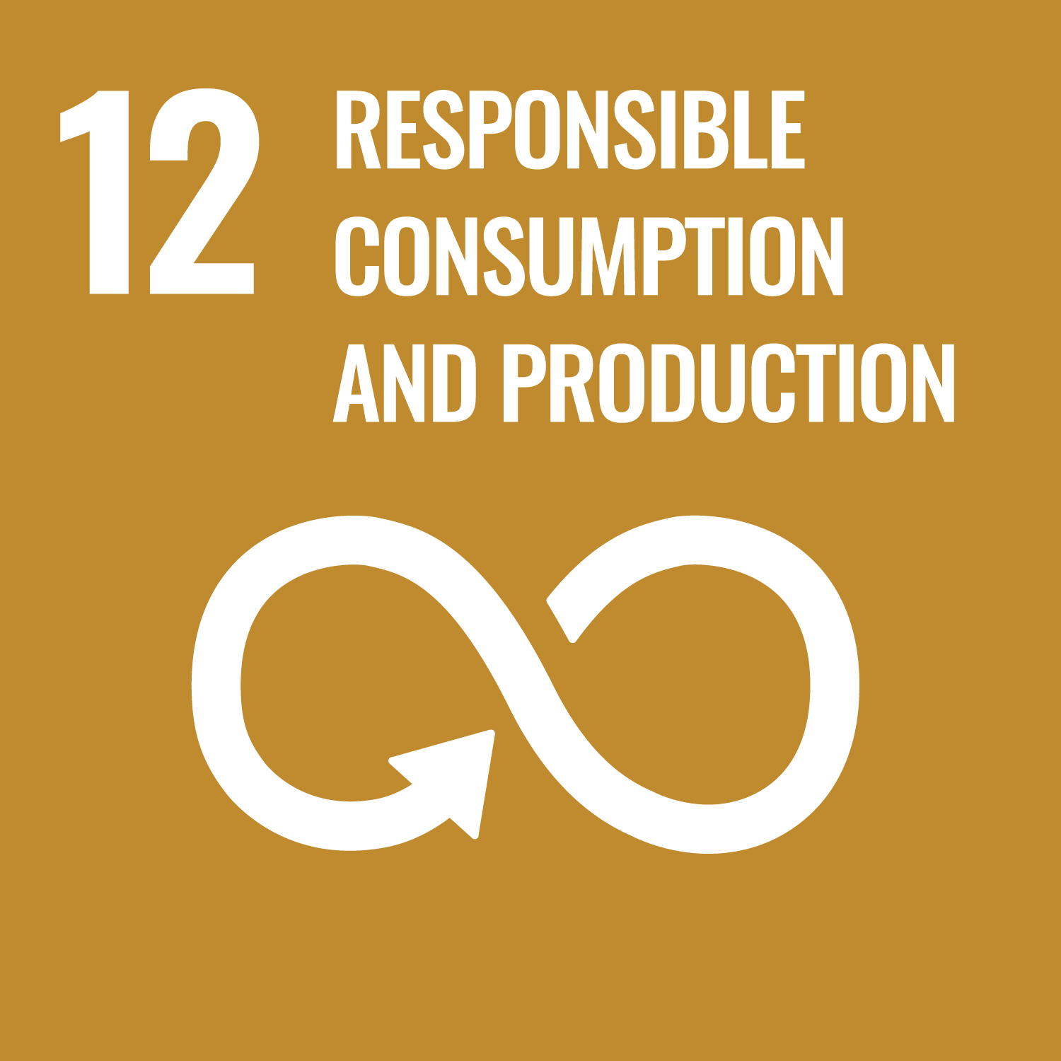 12 ODS - Responsible Consumption and production
