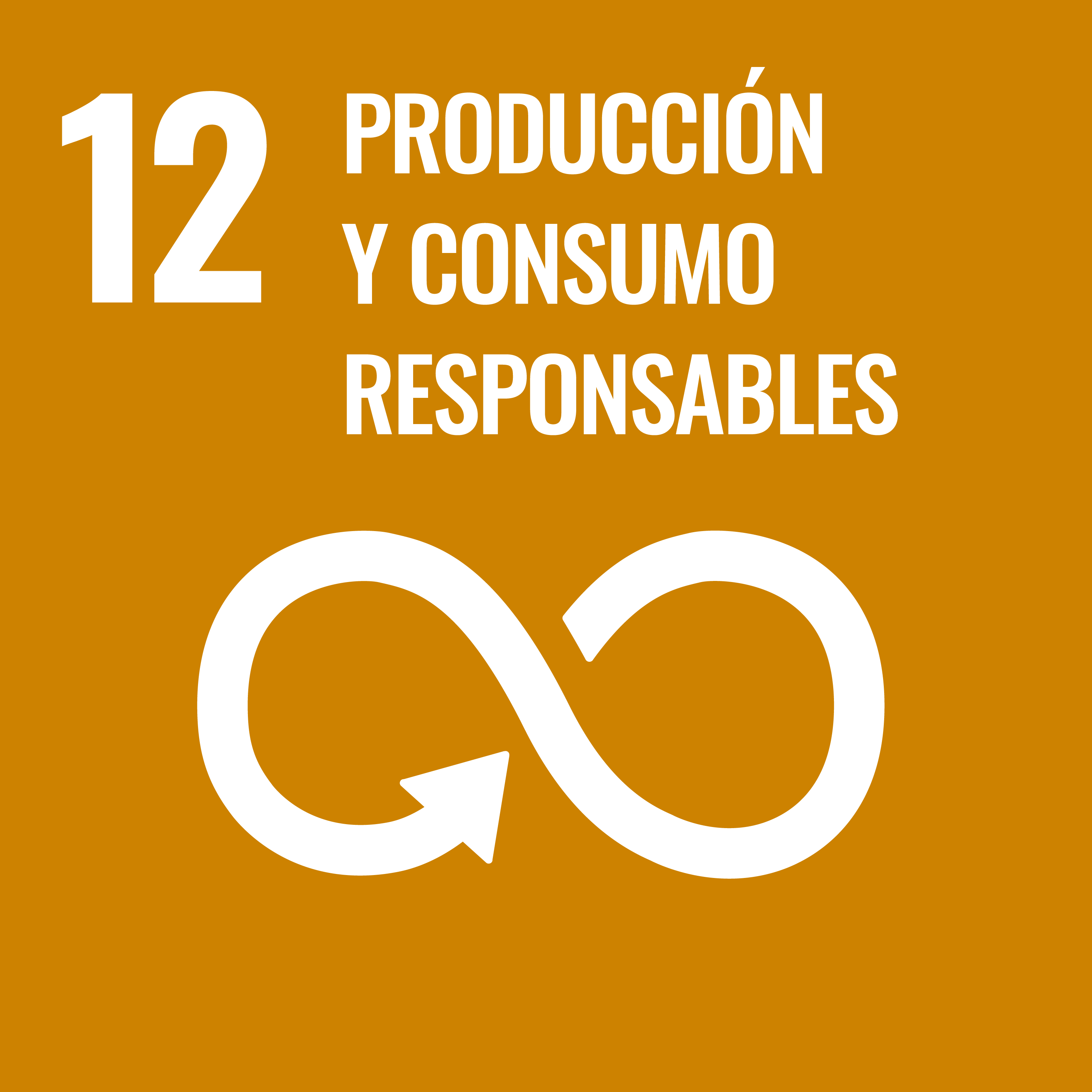 12 ODS - Consumo y producción responsables
