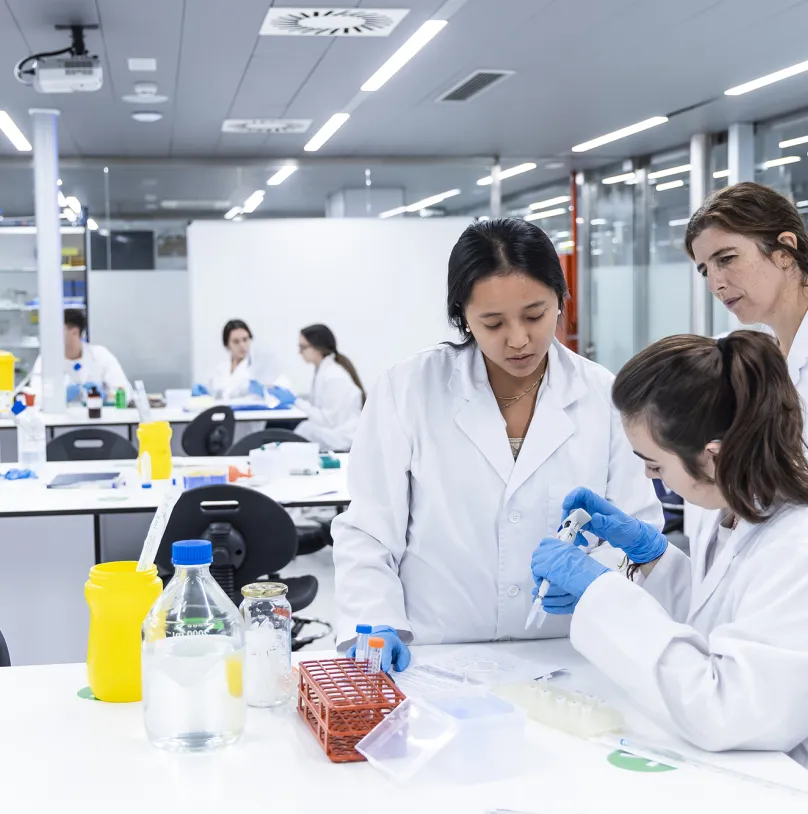 Laboratori de pràctiques