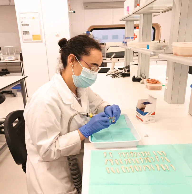 Laboratori d’investigació