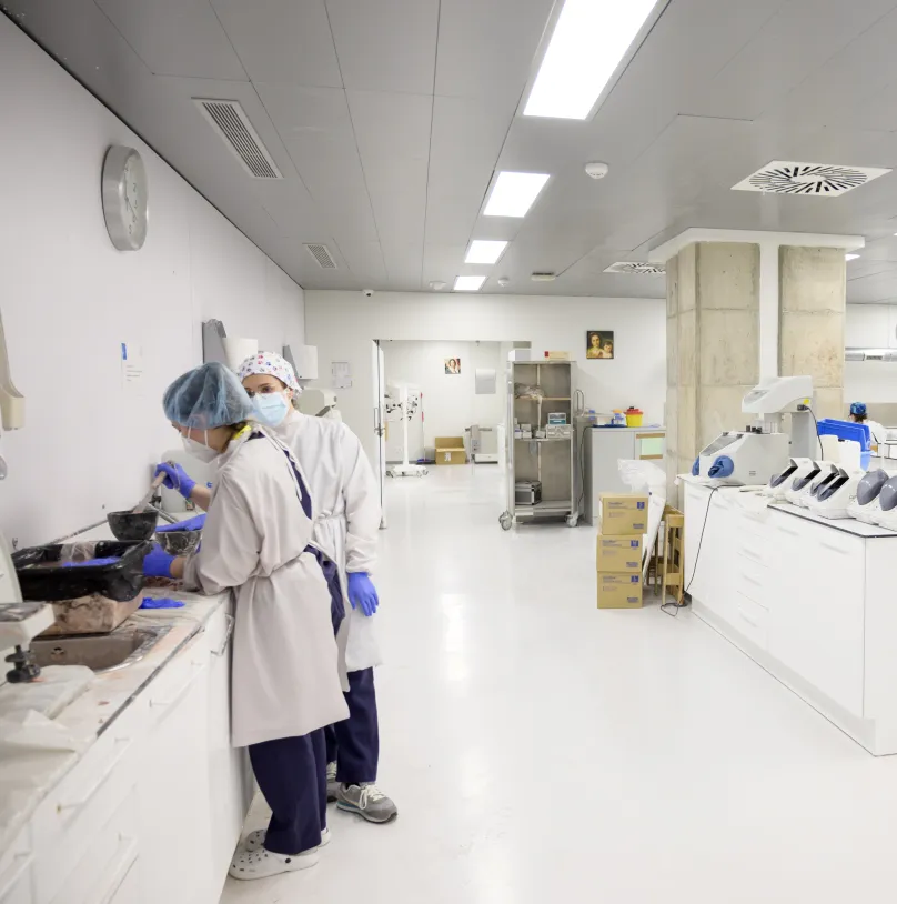 Laboratoris protèsics d’última generació