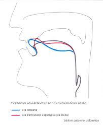 Guia de correcció fonètica (Gabriel Bibiloni)