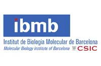 ibmb