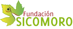 Fundación sicomoro