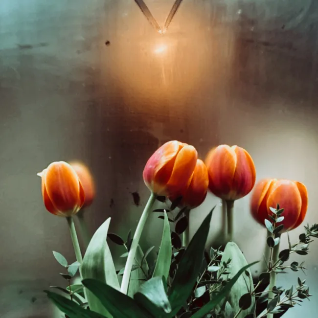 “Corazón de primavera", Emma Reine, estudiant de segon del grau en Fisioterapia.