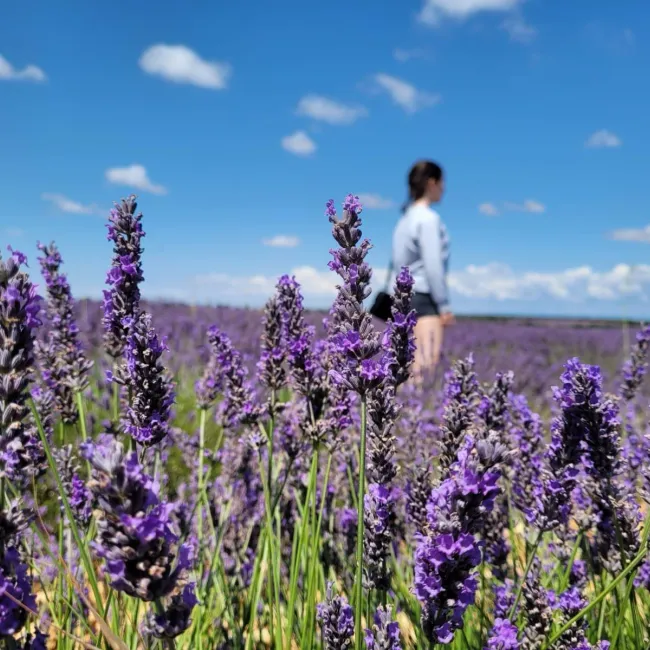 “Horizonte Púrpura”, Miriam Martín, estudiant del Màster en Advocacia i Procura.